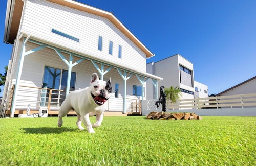 Hamasaki House | Limited to 34 people Up to 1 pet dog allowed/Karatsu Saga
