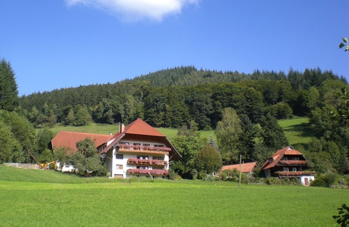 Muehlenbach Apartment | Apartment 'Ferienwohnung Schwalbennest' with Mountain View, Balcony and Wi-Fi