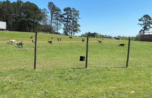 Cullman RV Rental | Rustic campground in charming Cullman minutes from Rock the South.