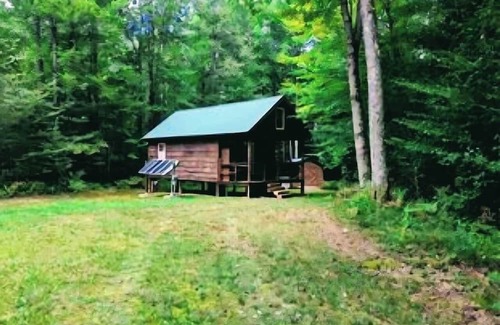 Town of Amboy Cabin | Spring Is In The Air | Cozy off-grid cabin
