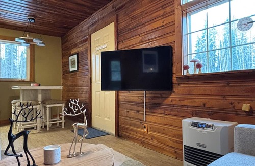 North Pole Cabin | Birch + Bjørn Tiny Home: Aurora Viewing & Sun Deck