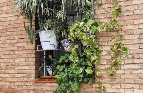 La Palmera-Reina Mercedes Apartment | Homerez - Apartment in Seville