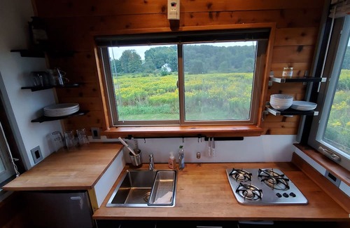 Hartwick Cabin | Tiny House in a peaceful meadow near Cooperstown