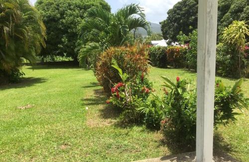 Lamentin House | Dans un coin de verdure