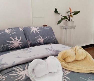 Tarlac House | Del Mar Transient House