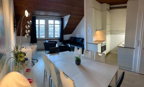 Neuchatel Hotel | Superbe Duplex Vue Château et Lac