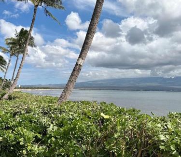 Maalaea Apartment | Oceanfront Property Maui Hawaii at Island Sands