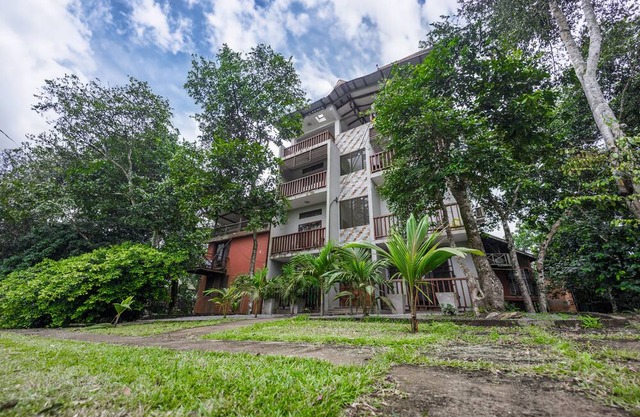 The Treehouse Studio apartments with a large rooftop terrace.