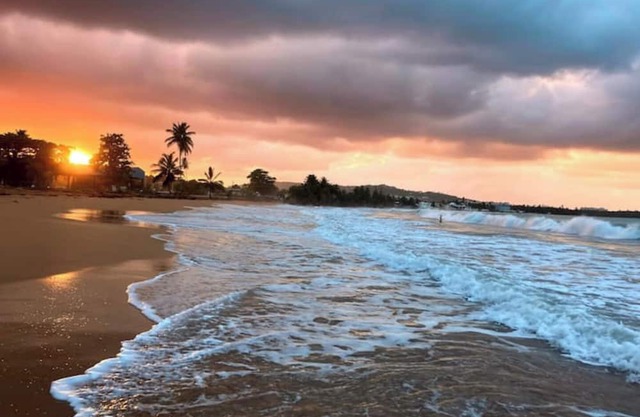 #E Tropical Rainforest Retreat Ocean View w/hottub