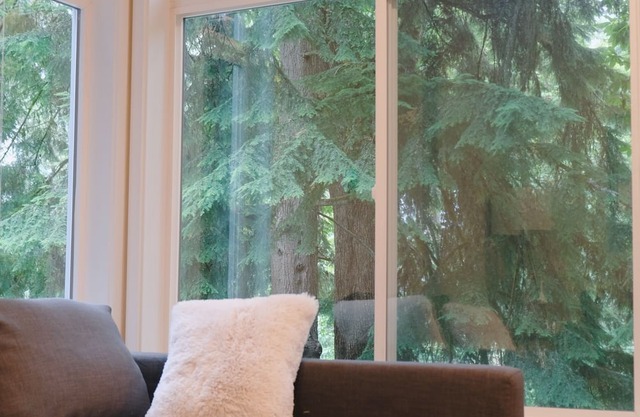 Entire 1b1b Mercer Island apartment