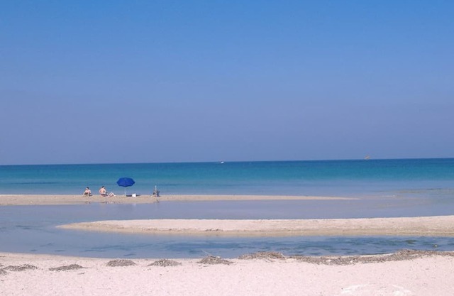 Apartment For 2 - 4 People Just 100m From the Sandy Sea