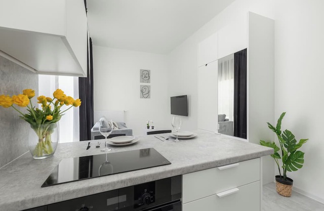 Beautiful Studio Apartments by Renters