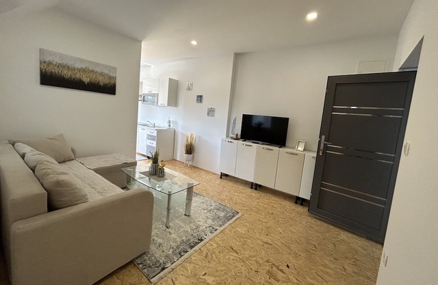 Apartment A1 - One-bedroom apartment A3