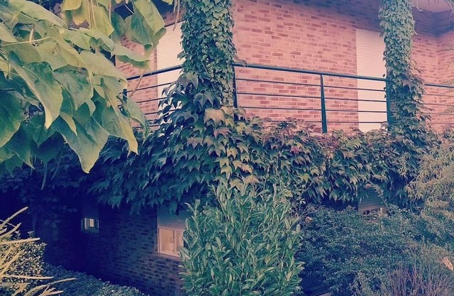 🌿 Casa com Raízes e História. É Casa com Alma. É Refúgio Para Quem nos Visita