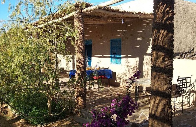 Dar Oasis Moringa