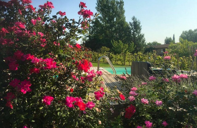 Homerez - Big villa for 10 ppl. with swimming-pool and terrace at Montgaillard