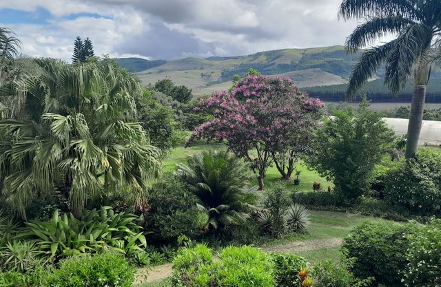 Peaceful quiet place overlooking beautiful mountain with a lovely garden.