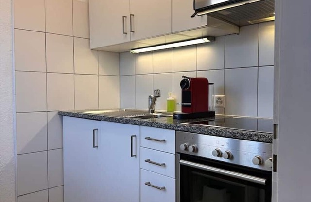 Gemütliches Apartment mit Einem Schlafzimmer in Zürich Höngg
