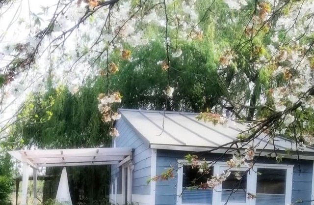 Modernes Tiny House Ortenau