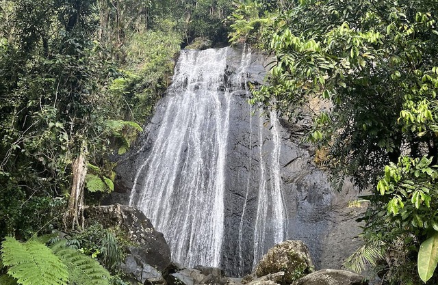Tranquil Guest Room Nestled in El Yunque Region. 5mins. From Beach & Rainforest!