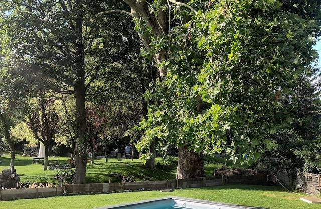 Châteaux d hot