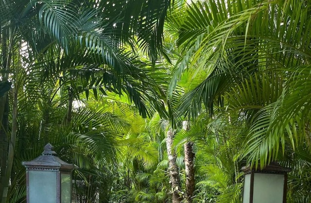 Casa In : Golf Nido Casa De Campo
