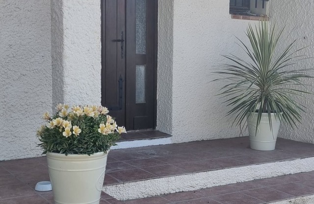 Occitan villa with swimming pool 15 minutes from the sea. Pets allowed