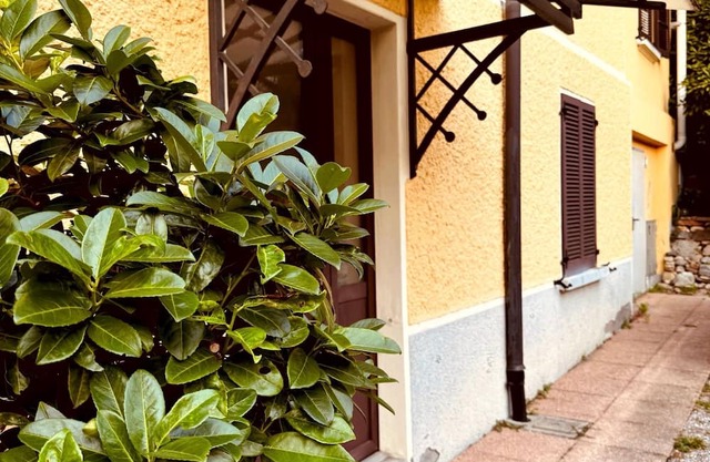 Forest Living, Cozy studio apartment located in Mendrisio.