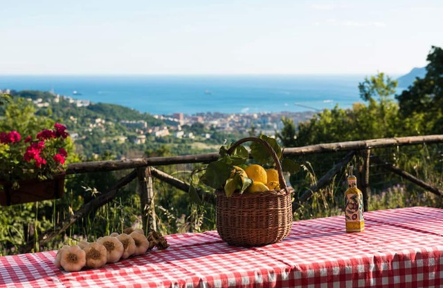 Ripa Garden: Panoramic Glamping between the Amalfi Coast and Cilento