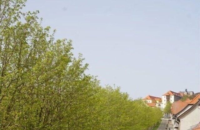 Holiday apartment in Ballenstedt with parking