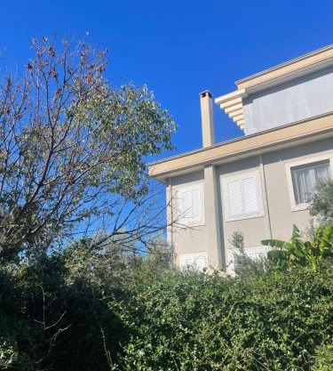 Olives Garden Villa