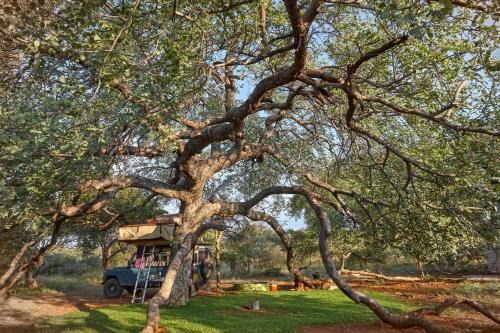 ZuriCamp - Campsite Halishi