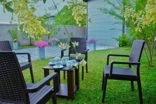 Kenolis City Hotel