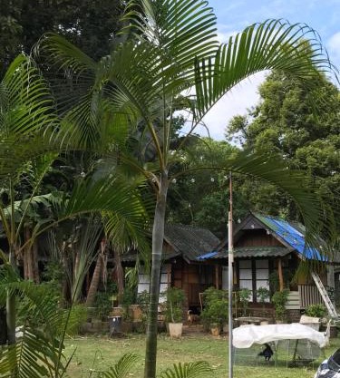 บ้านตำหนักช้าง