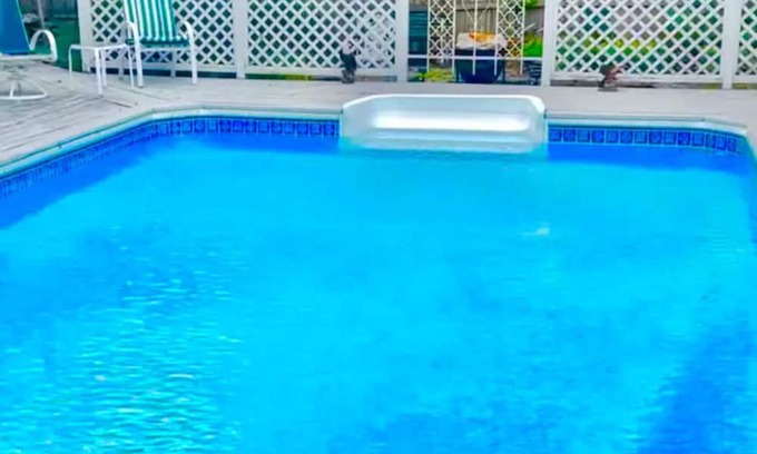 Long Island House | 1 cozy room in shared house in charming Selden with AC, WiFi