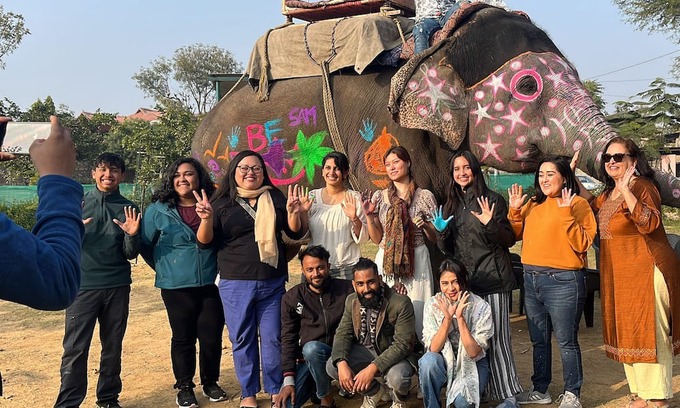 Pink City House | Room 1 - You can spend time with elephants by going close them