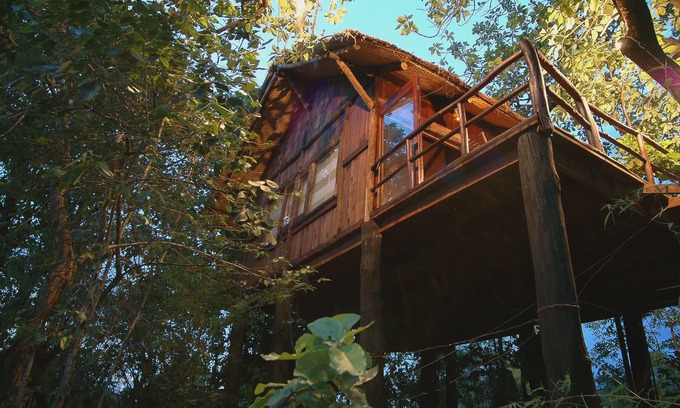 Tala Hotel | Pugdundee Safaris- Tree House Hideaway