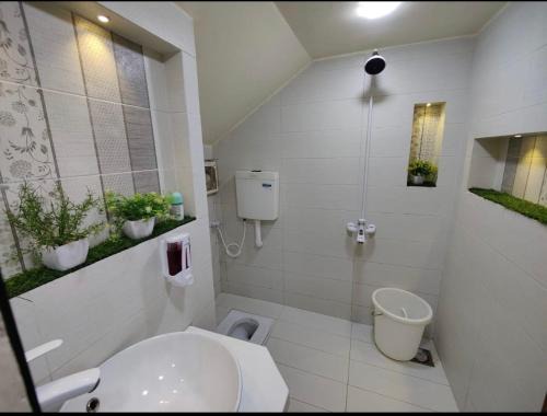 Karachi Bed & Breakfast | United guest house