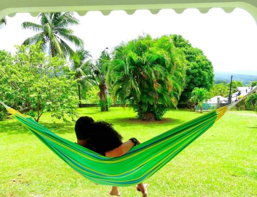 Lamentin House | Dans un coin de verdure